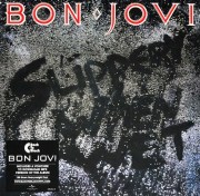 bon-jovi-_–-slippery-when-wet9