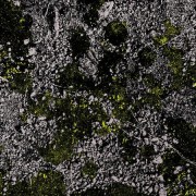 AWABB_160__178543__04282023031240-3857