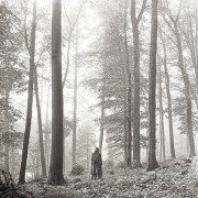 R-16190187-1718429167-4006