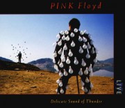 pink-floyd-delicate-sound-of-thunder-1